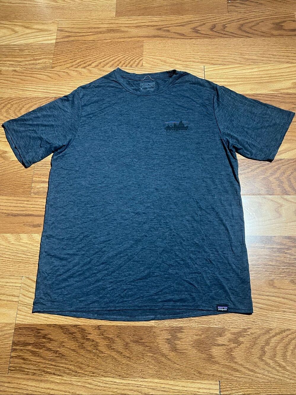 Patagonia Men's Capilene Cool Daily Graphic Tee Medium